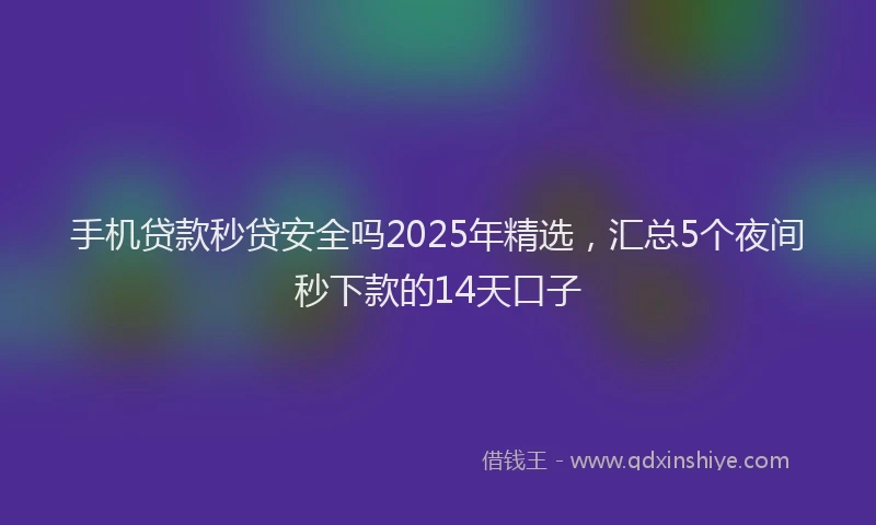手机贷款秒贷安全吗2025年精选，汇总5个夜间秒下款的14天口子