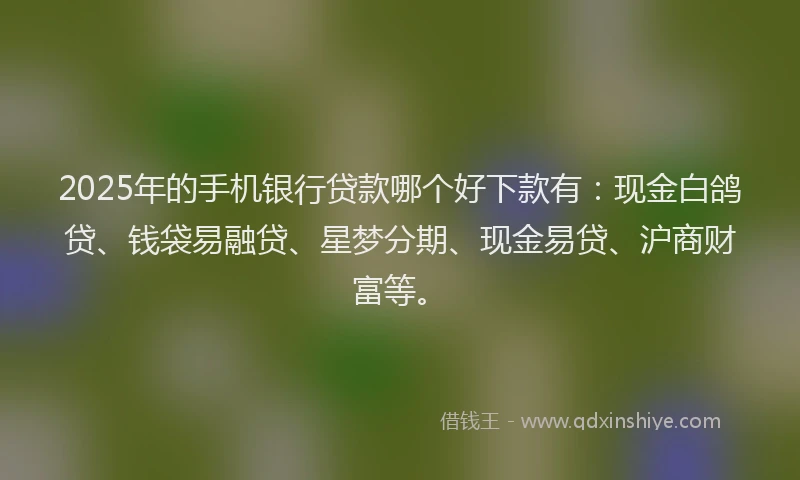 2025年的手机银行贷款哪个好下款有：现金白鸽贷、钱袋易融贷、星梦分期、现金易贷、沪商财富等。