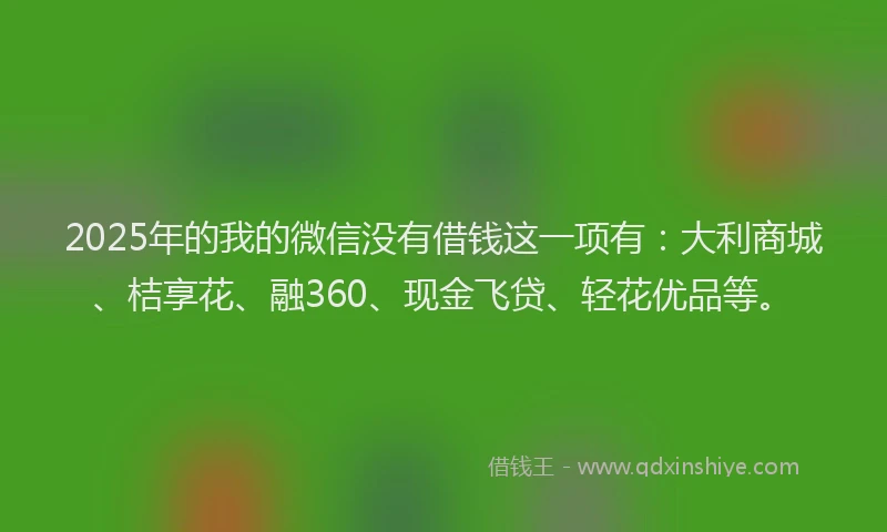 2025年的我的微信没有借钱这一项有：大利商城、桔享花、融360、现金飞贷、轻花优品等。