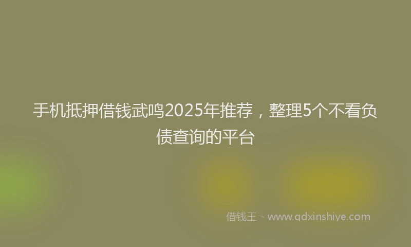 手机抵押借钱武鸣2025年推荐，整理5个不看负债查询的平台