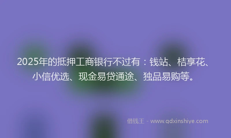 2025年的抵押工商银行不过有：钱站、桔享花、小信优选、现金易贷通途、独品易购等。