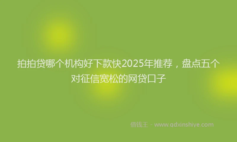 拍拍贷哪个机构好下款快2025年推荐，盘点五个对征信宽松的网贷口子