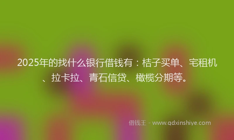 2025年的找什么银行借钱有：桔子买单、宅租机、拉卡拉、青石信贷、橄榄分期等。