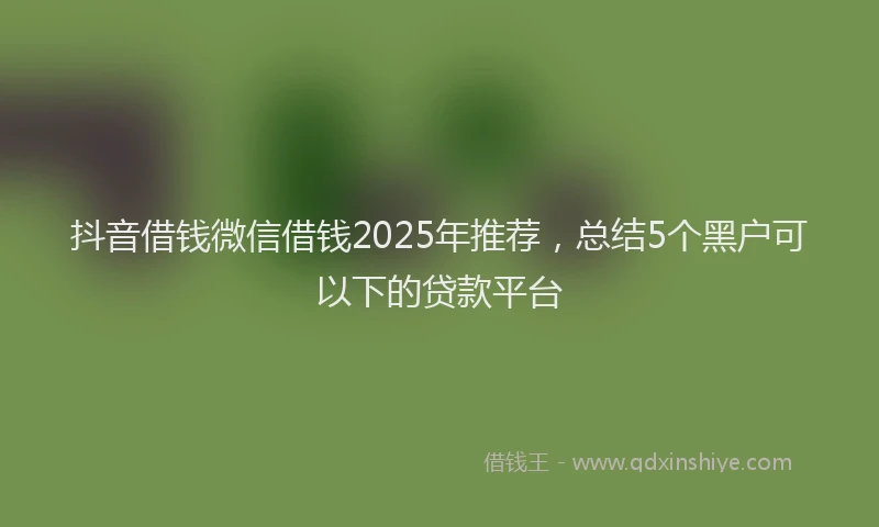 抖音借钱微信借钱2025年推荐，总结5个黑户可以下的贷款平台