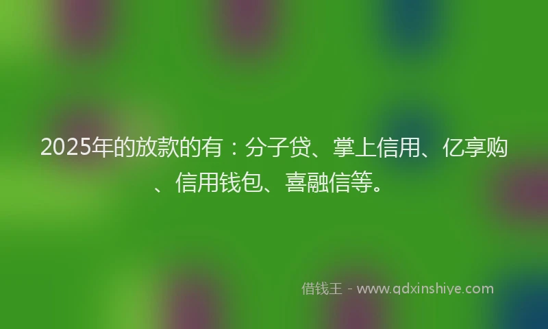 2025年的放款的有：分子贷、掌上信用、亿享购、信用钱包、喜融信等。