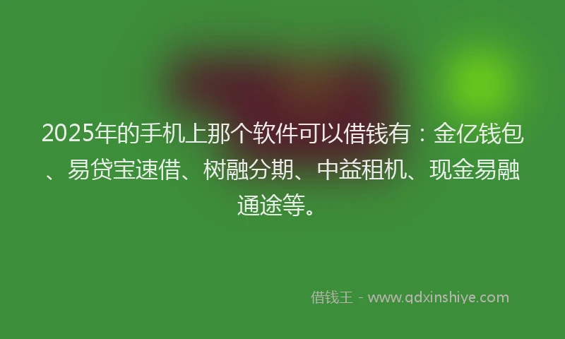 2025年的手机上那个软件可以借钱有：金亿钱包、易贷宝速借、树融分期、中益租机、现金易融通途等。