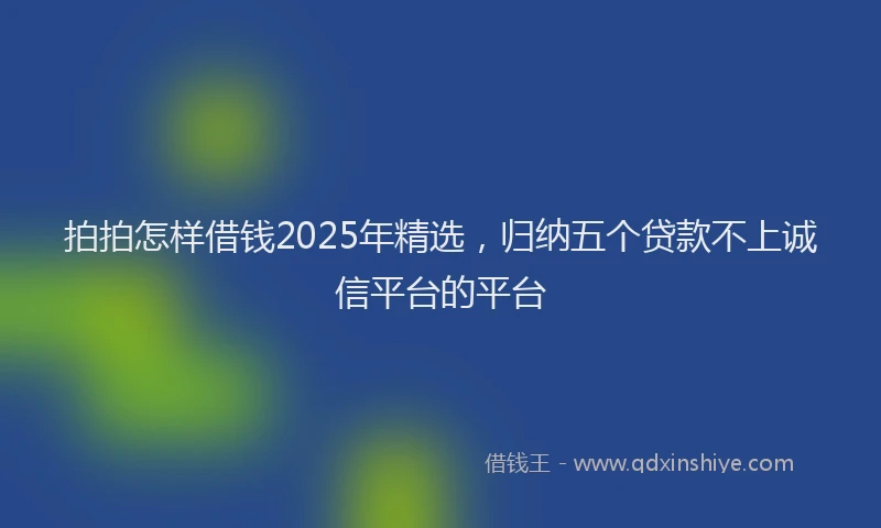 拍拍怎样借钱2025年精选，归纳五个贷款不上诚信平台的平台
