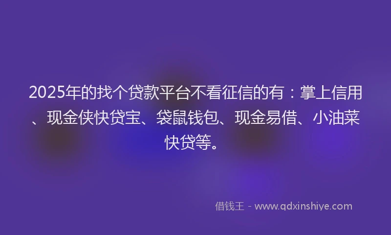 2025年的找个贷款平台不看征信的有：掌上信用、现金侠快贷宝、袋鼠钱包、现金易借、小油菜快贷等。