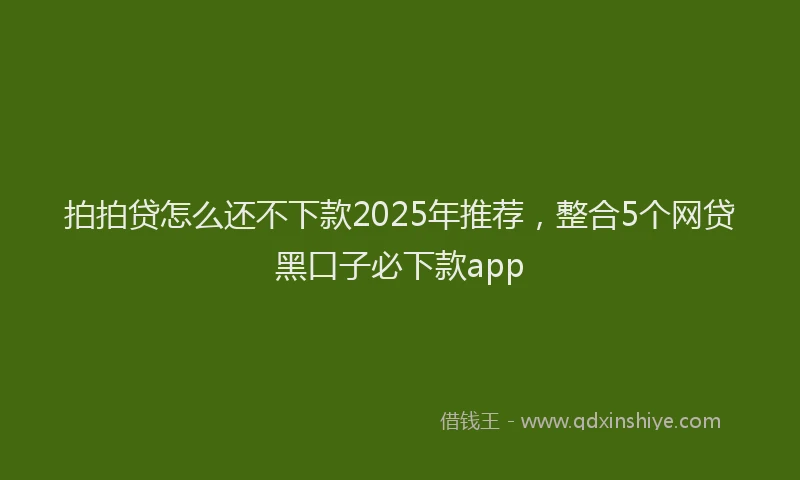 拍拍贷怎么还不下款2025年推荐，整合5个网贷黑口子必下款app