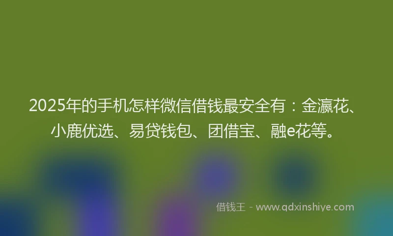 2025年的手机怎样微信借钱最安全有：金瀛花、小鹿优选、易贷钱包、团借宝、融e花等。