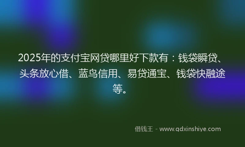 2025年的支付宝网贷哪里好下款有：钱袋瞬贷、头条放心借、蓝鸟信用、易贷通宝、钱袋快融途等。