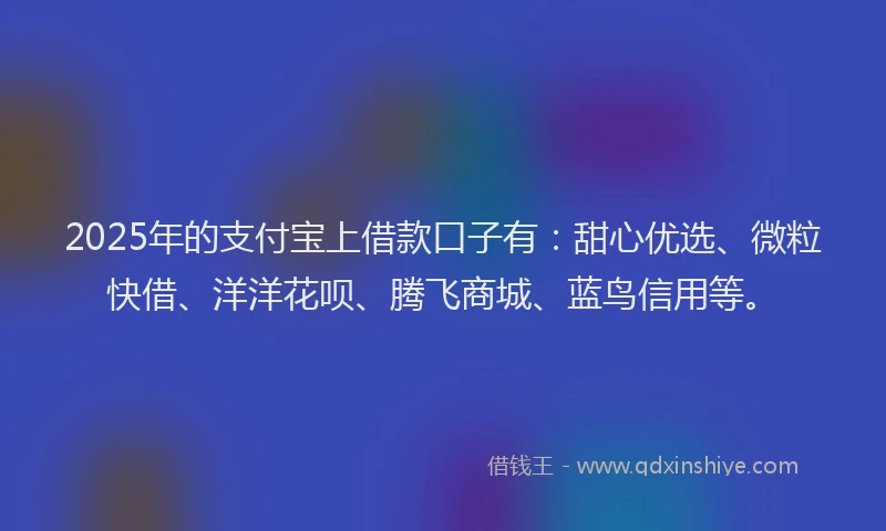 2025年的支付宝上借款口子有：甜心优选、微粒快借、洋洋花呗、腾飞商城、蓝鸟信用等。