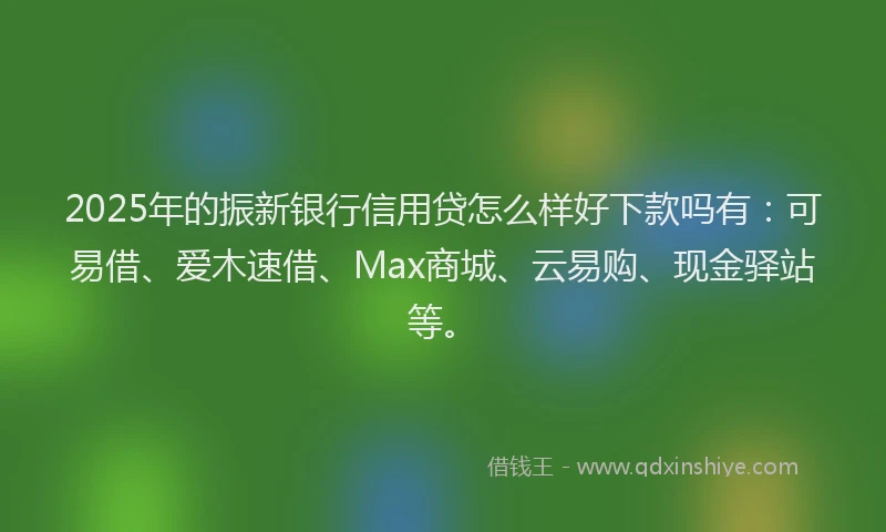 2025年的振新银行信用贷怎么样好下款吗有：可易借、爱木速借、Max商城、云易购、现金驿站等。