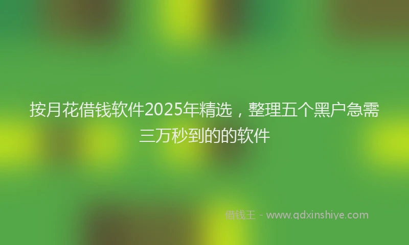 按月花借钱软件2025年精选，整理五个黑户急需三万秒到的的软件