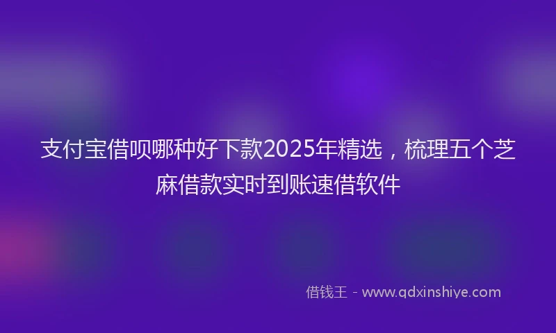 支付宝借呗哪种好下款2025年精选，梳理五个芝麻借款实时到账速借软件