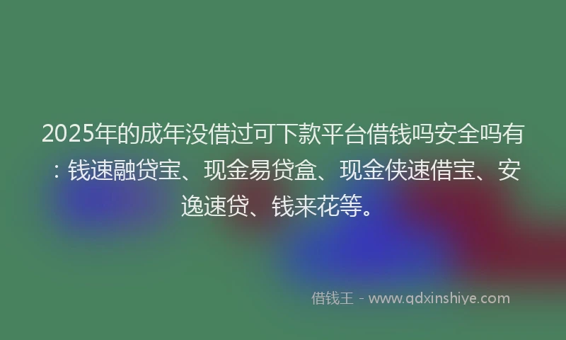 2025年的成年没借过可下款平台借钱吗安全吗有：钱速融贷宝、现金易贷盒、现金侠速借宝、安逸速贷、钱来花等。