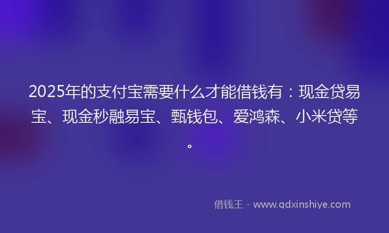 2025年的支付宝需要什么才能借钱有：现金贷易宝、现金秒融易宝、甄钱包、爱鸿森、小米贷等。