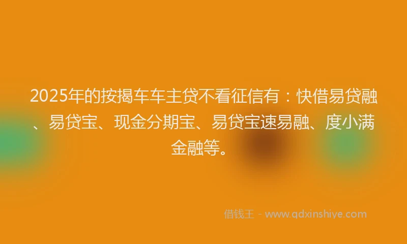 2025年的按揭车车主贷不看征信有：快借易贷融、易贷宝、现金分期宝、易贷宝速易融、度小满金融等。