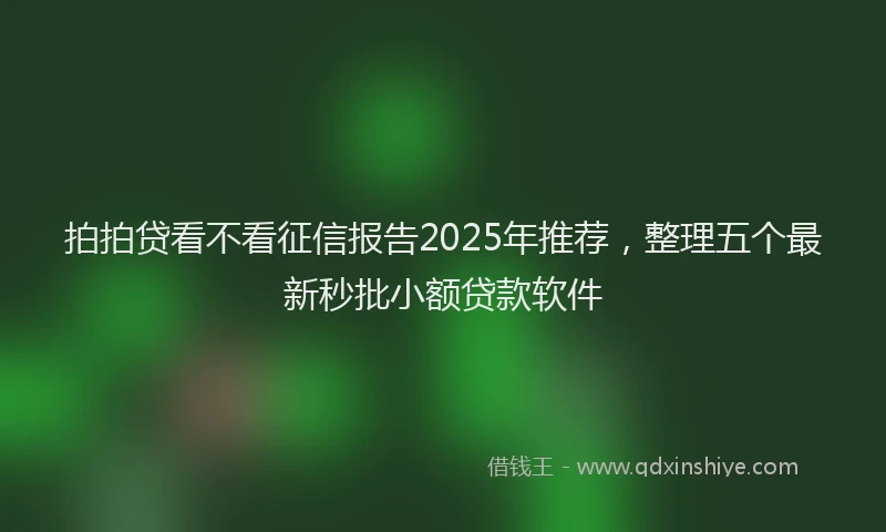 拍拍贷看不看征信报告2025年推荐，整理五个最新秒批小额贷款软件