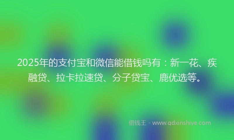 2025年的支付宝和微信能借钱吗有：新一花、疾融贷、拉卡拉速贷、分子贷宝、鹿优选等。