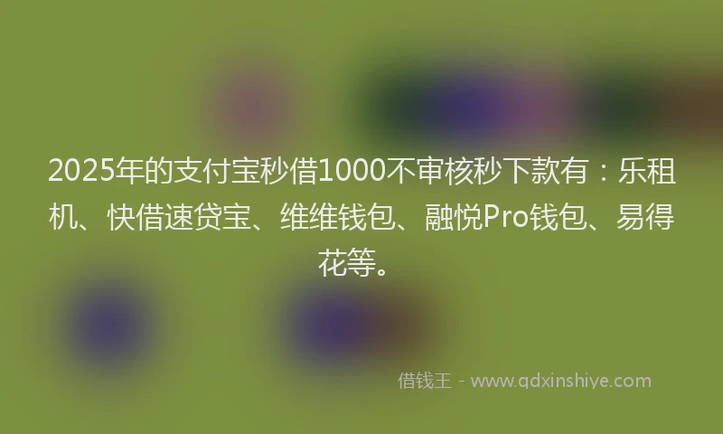 2025年的支付宝秒借1000不审核秒下款有：乐租机、快借速贷宝、维维钱包、融悦Pro钱包、易得花等。