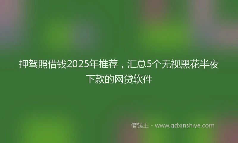 押驾照借钱2025年推荐，汇总5个无视黑花半夜下款的网贷软件