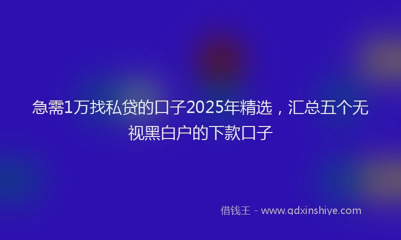 急需1万找私贷的口子2025年精选，汇总五个无视黑白户的下款口子