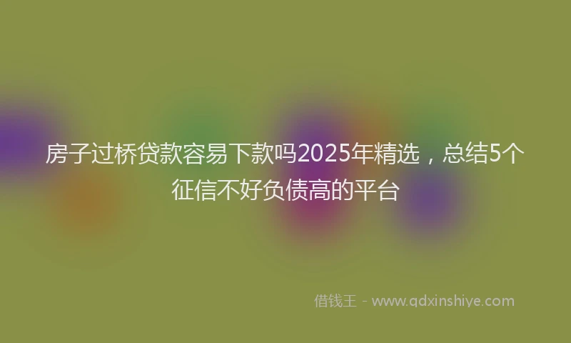 房子过桥贷款容易下款吗2025年精选，总结5个征信不好负债高的平台