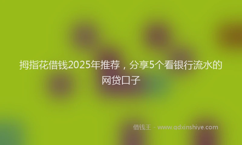 拇指花借钱2025年推荐，分享5个看银行流水的网贷口子