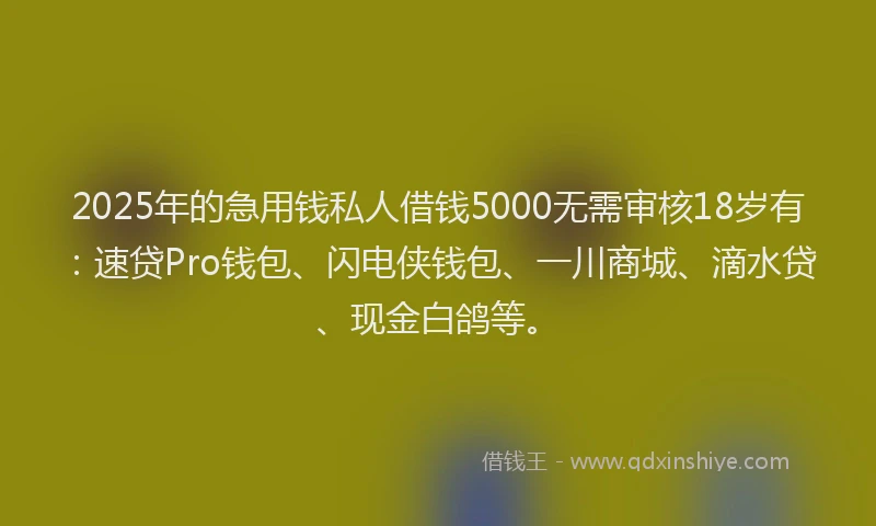 2025年的急用钱私人借钱5000无需审核18岁有：速贷Pro钱包、闪电侠钱包、一川商城、滴水贷、现金白鸽等。