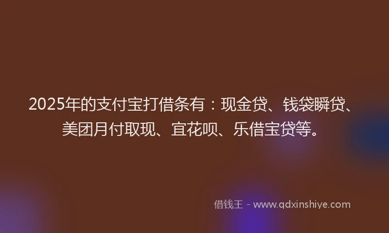 2025年的支付宝打借条有：现金贷、钱袋瞬贷、美团月付取现、宜花呗、乐借宝贷等。