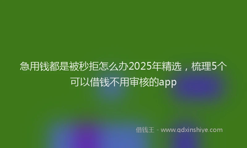 急用钱都是被秒拒怎么办2025年精选，梳理5个可以借钱不用审核的app