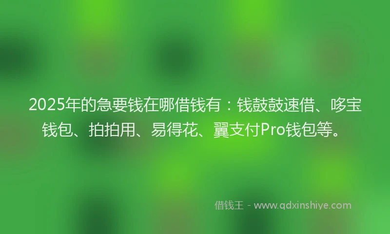 2025年的急要钱在哪借钱有：钱鼓鼓速借、哆宝钱包、拍拍用、易得花、翼支付Pro钱包等。