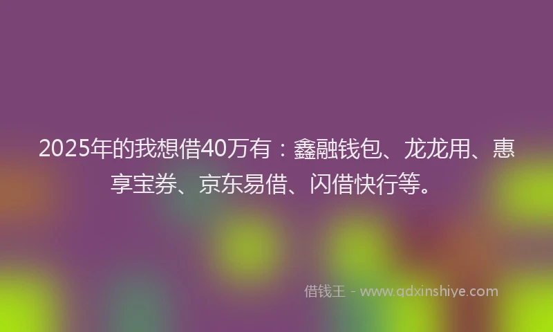 2025年的我想借40万有：鑫融钱包、龙龙用、惠享宝券、京东易借、闪借快行等。