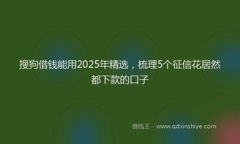搜狗借钱能用2025年精选，梳理5个征信花居然都下款的口子