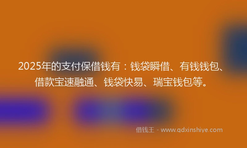 2025年的支付保借钱有：钱袋瞬借、有钱钱包、借款宝速融通、钱袋快易、瑞宝钱包等。