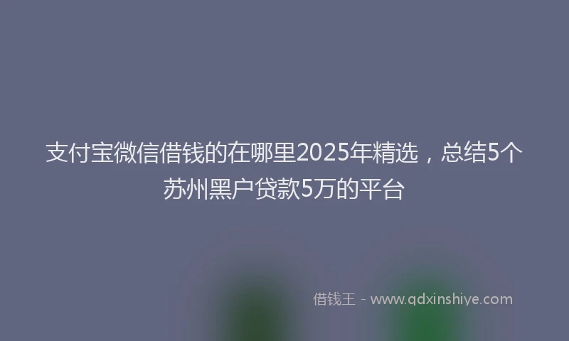 支付宝微信借钱的在哪里2025年精选，总结5个苏州黑户贷款5万的平台
