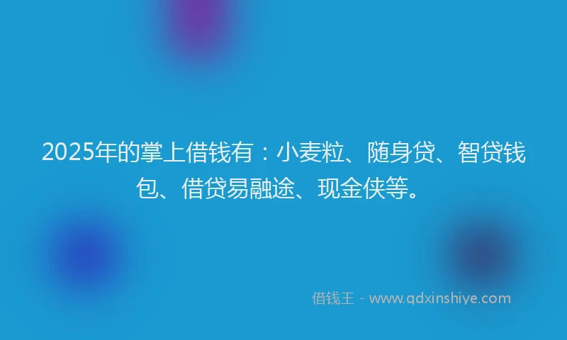2025年的掌上借钱有：小麦粒、随身贷、智贷钱包、借贷易融途、现金侠等。