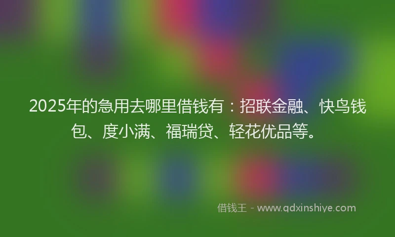 2025年的急用去哪里借钱有：招联金融、快鸟钱包、度小满、福瑞贷、轻花优品等。