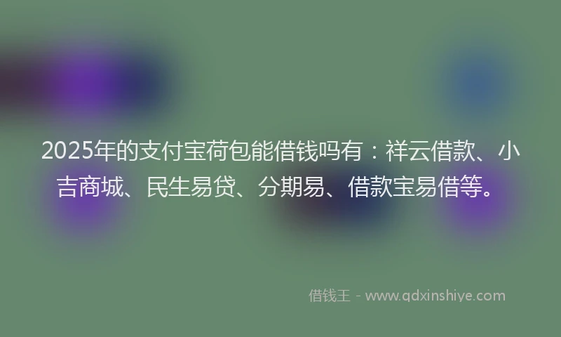 2025年的支付宝荷包能借钱吗有：祥云借款、小吉商城、民生易贷、分期易、借款宝易借等。