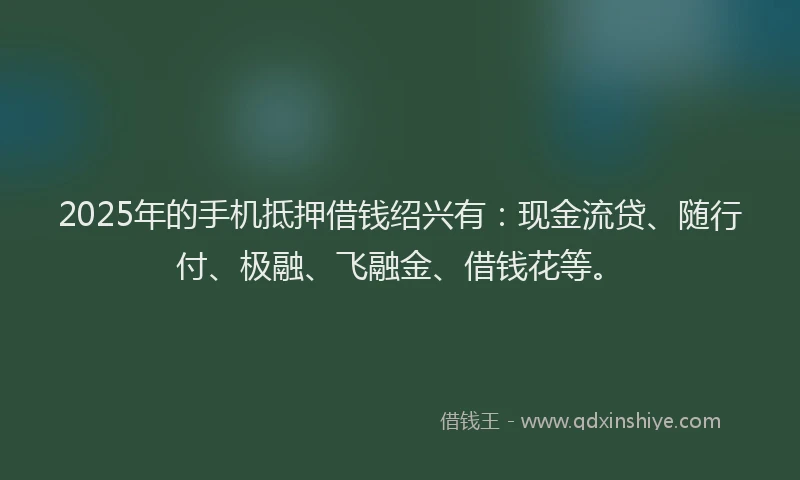 2025年的手机抵押借钱绍兴有：现金流贷、随行付、极融、飞融金、借钱花等。