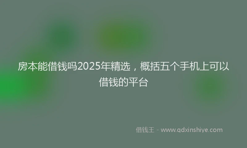 房本能借钱吗2025年精选，概括五个手机上可以借钱的平台