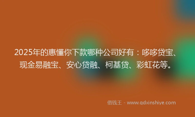 2025年的惠懂你下款哪种公司好有：哆哆贷宝、现金易融宝、安心贷融、柯基贷、彩虹花等。