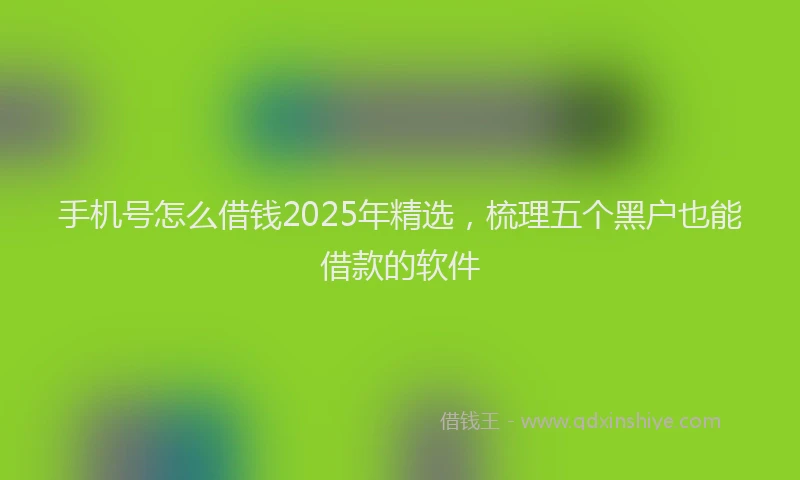 手机号怎么借钱2025年精选，梳理五个黑户也能借款的软件