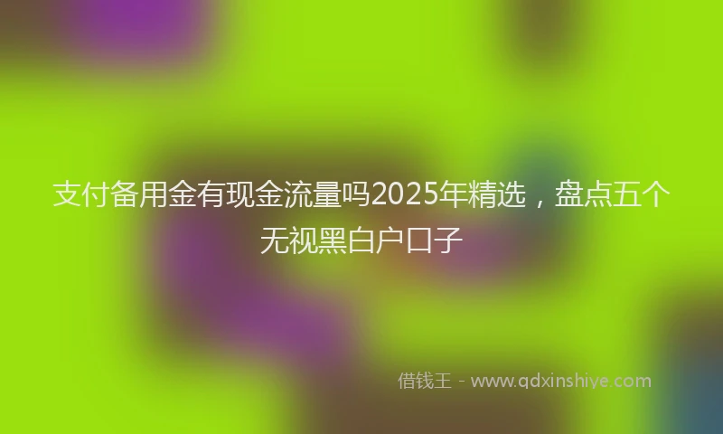 支付备用金有现金流量吗2025年精选，盘点五个无视黑白户口子