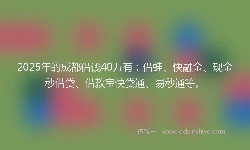 2025年的成都借钱40万有：借蛙、快融金、现金秒借贷、借款宝快贷通、易秒通等。