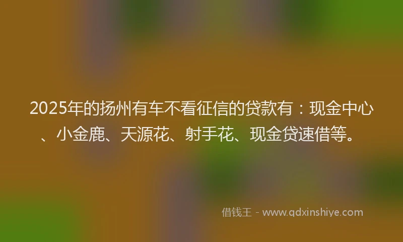 2025年的扬州有车不看征信的贷款有：现金中心、小金鹿、天源花、射手花、现金贷速借等。
