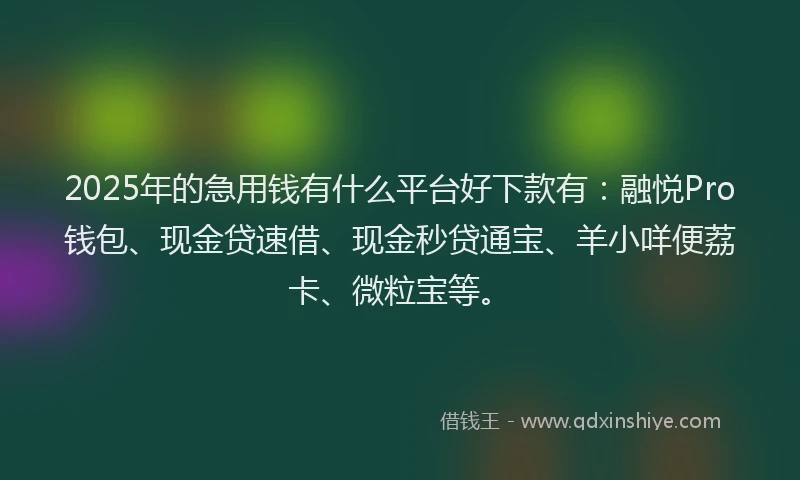 2025年的急用钱有什么平台好下款有：融悦Pro钱包、现金贷速借、现金秒贷通宝、羊小咩便荔卡、微粒宝等。