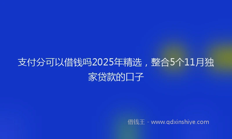 支付分可以借钱吗2025年精选，整合5个11月独家贷款的口子
