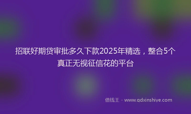 招联好期贷审批多久下款2025年精选，整合5个真正无视征信花的平台